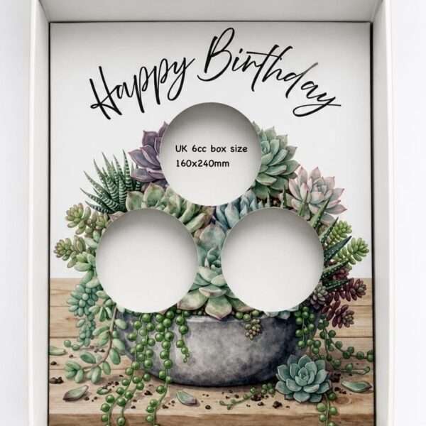 UK-160x240mm CUPCAKE BOX INSERT TEMPLATES SUCCULENTS HBD